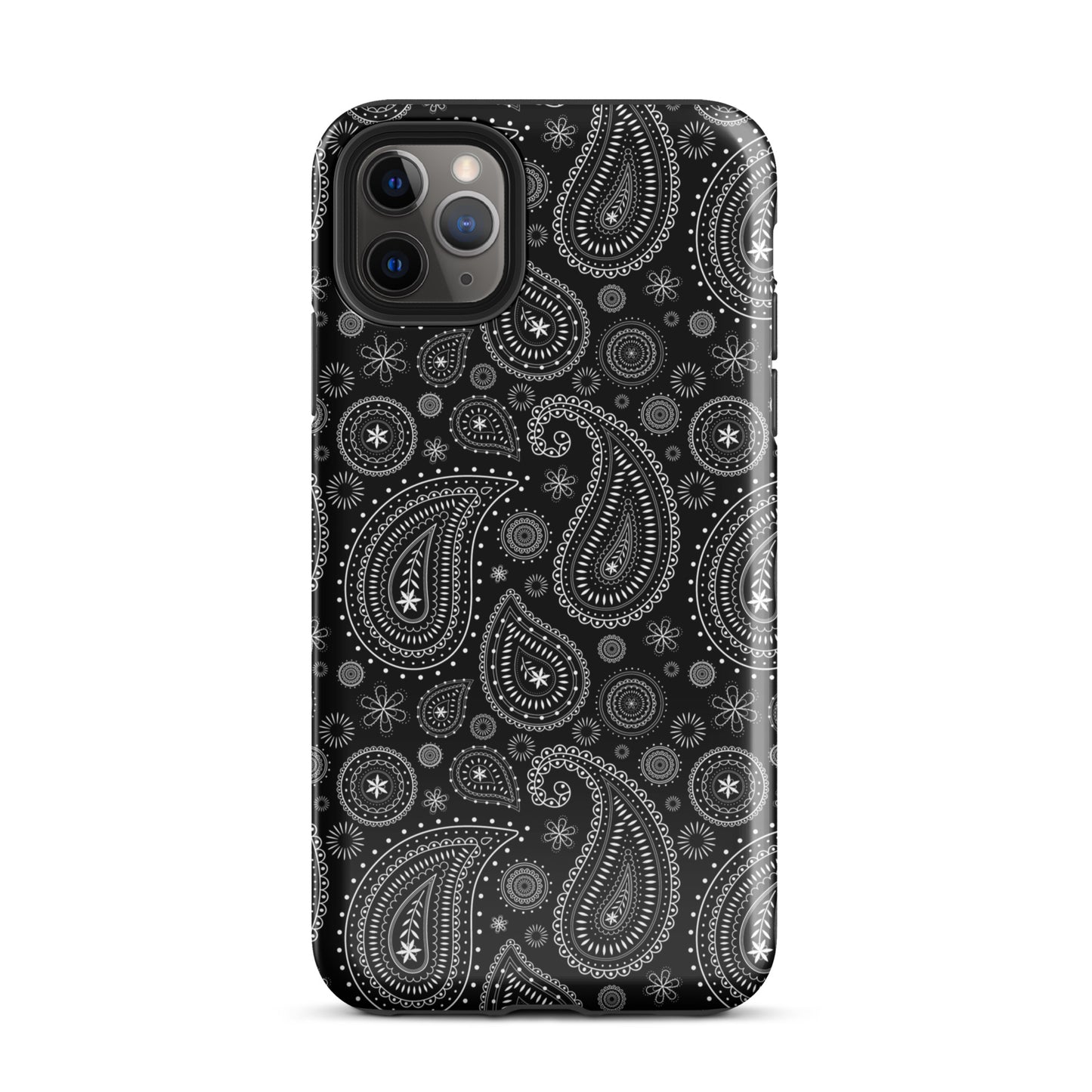 Black and White Paisley