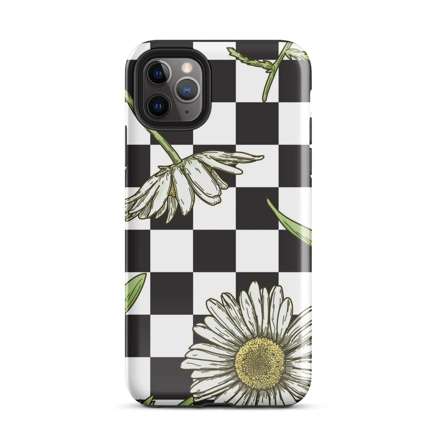 Checkered Daisy